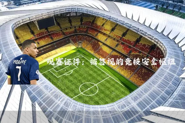 观赛证件：被忽视的竞技安全枢纽